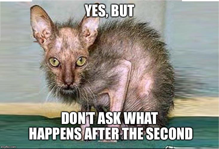 ugly cat | YES, BUT DON’T ASK WHAT HAPPENS AFTER THE SECOND | image tagged in ugly cat | made w/ Imgflip meme maker