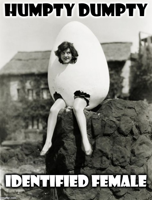 All the King's Horses nor All his Men couldn't Wipe the Smile Off her Face | HUMPTY DUMPTY; IDENTIFIED FEMALE | image tagged in vince vance,humpty dumpty,humpty dumpty sat on a wall,gender identity,nursery rhymes,girl in egg costume | made w/ Imgflip meme maker