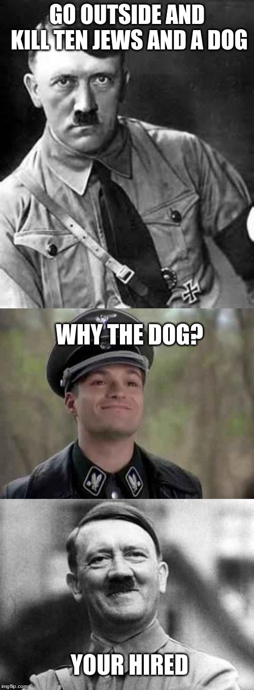 GO OUTSIDE AND KILL TEN JEWS AND A DOG; WHY THE DOG? YOUR HIRED | image tagged in adolf hitler,grammar nazi | made w/ Imgflip meme maker