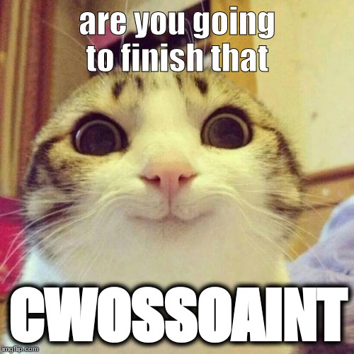 Smiling Cat | are you going to finish that; CWOSSOAINT | image tagged in memes,smiling cat | made w/ Imgflip meme maker