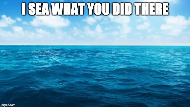 Ocean | I SEA WHAT YOU DID THERE | image tagged in ocean | made w/ Imgflip meme maker