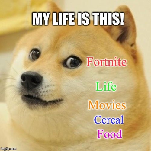 Doge Meme | MY LIFE IS THIS! Fortnite; Life; Movies; Cereal; Food | image tagged in memes,doge | made w/ Imgflip meme maker