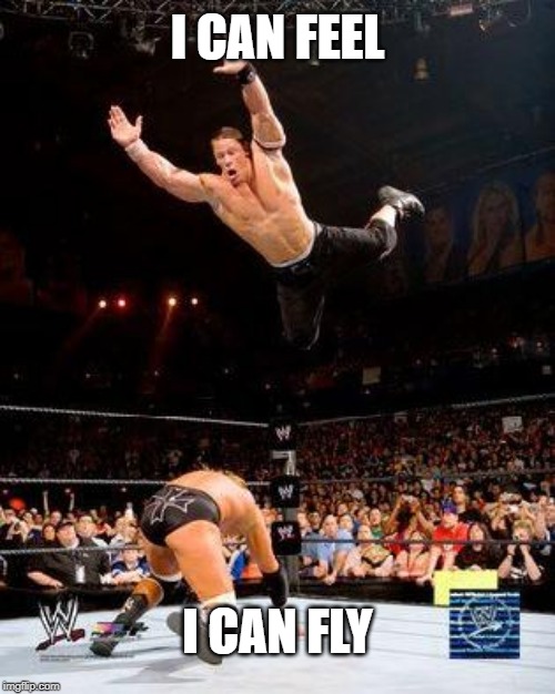 WWE | I CAN FEEL; I CAN FLY | image tagged in wwe | made w/ Imgflip meme maker
