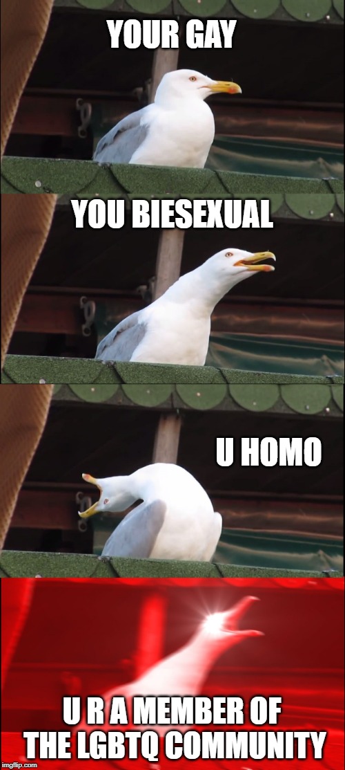 Inhaling Seagull Meme | YOUR GAY; YOU BIESEXUAL; U HOMO; U R A MEMBER OF THE LGBTQ COMMUNITY | image tagged in memes,inhaling seagull | made w/ Imgflip meme maker