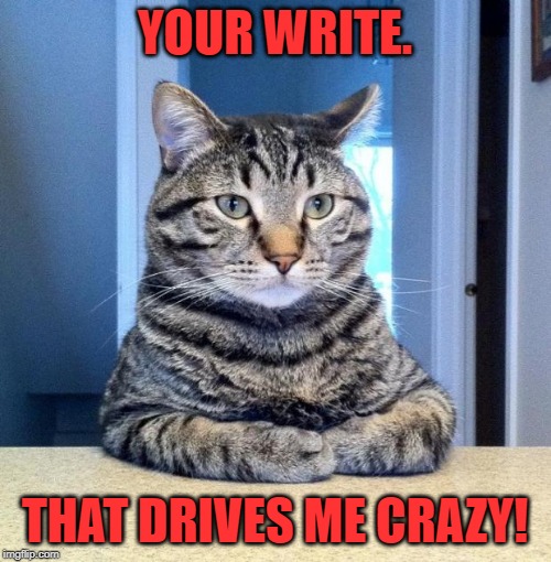 Serious Cat | YOUR WRITE. THAT DRIVES ME CRAZY! | image tagged in serious cat | made w/ Imgflip meme maker