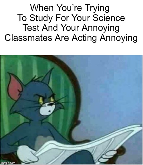 Interrupting Tom's Read | When You’re Trying To Study For Your Science Test And Your Annoying Classmates Are Acting Annoying | image tagged in interrupting tom's read | made w/ Imgflip meme maker