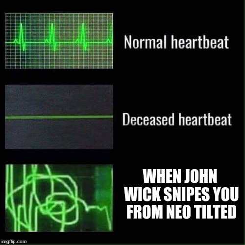 Heartbeat meme | WHEN JOHN WICK SNIPES YOU FROM NEO TILTED | image tagged in heartbeat meme | made w/ Imgflip meme maker