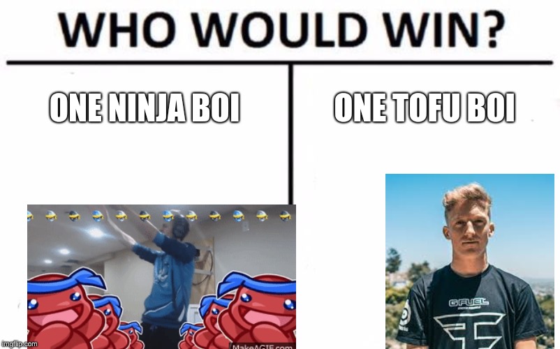 Who Would Win? Meme | ONE NINJA BOI; ONE TOFU BOI | image tagged in memes,who would win | made w/ Imgflip meme maker