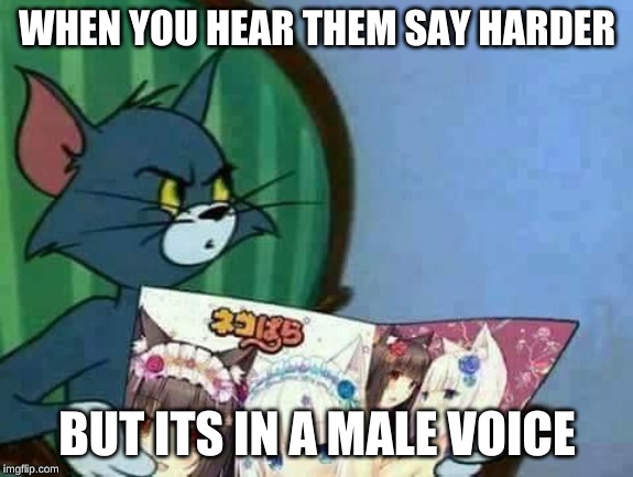 Tom and jerry | WHEN YOU HEAR THEM SAY HARDER; BUT ITS IN A MALE VOICE | image tagged in tom and jerry | made w/ Imgflip meme maker