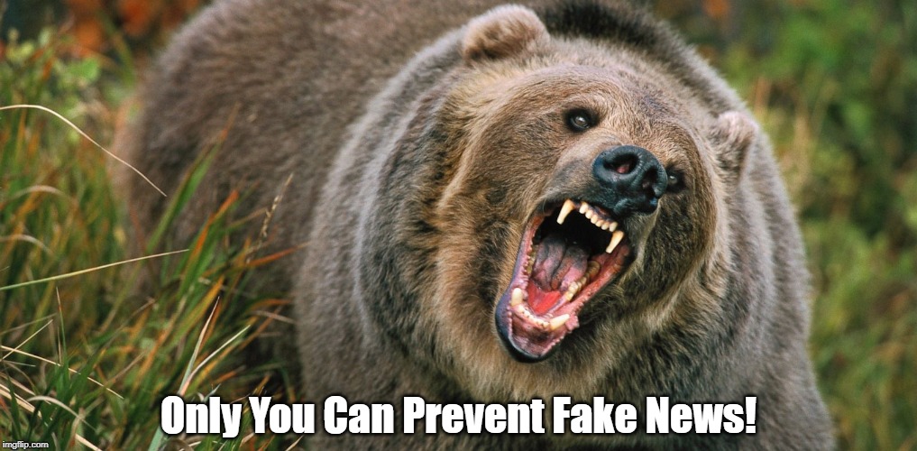 Only You Can Prevent Fake News! | made w/ Imgflip meme maker