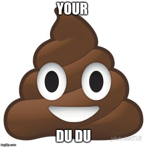 poop | YOUR; DU DU | image tagged in poop | made w/ Imgflip meme maker