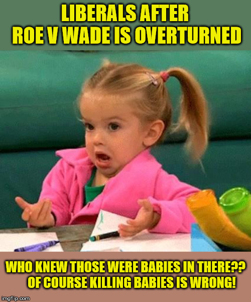 Don't blame me! | LIBERALS AFTER ROE V WADE IS OVERTURNED; WHO KNEW THOSE WERE BABIES IN THERE?? 
   OF COURSE KILLING BABIES IS WRONG! | image tagged in i don't know,pro life,right to life,liberal logic,abortion is murder,maga | made w/ Imgflip meme maker