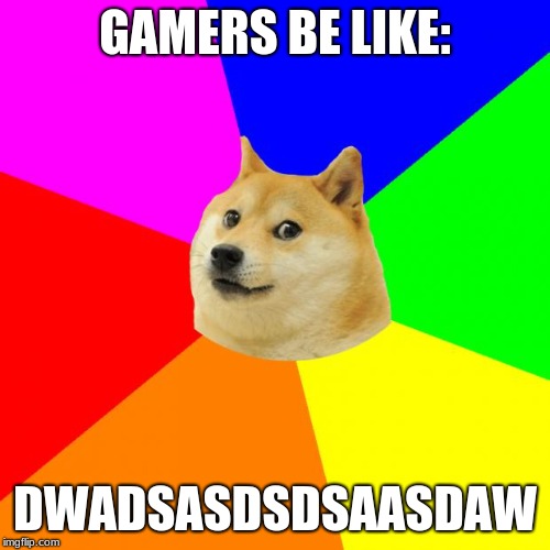 Advice Doge | GAMERS BE LIKE:; DWADSASDSDSAASDAW | image tagged in memes,advice doge | made w/ Imgflip meme maker