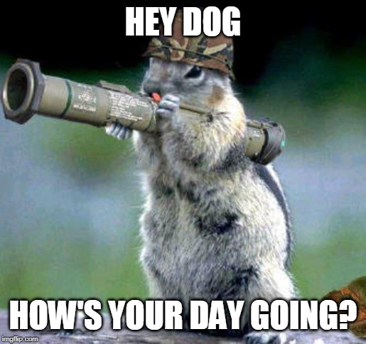 Bazooka Squirrel Meme |  HEY DOG; HOW'S YOUR DAY GOING? | image tagged in memes,bazooka squirrel | made w/ Imgflip meme maker