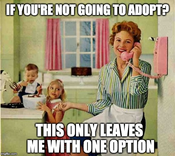 IF YOU'RE NOT GOING TO ADOPT? THIS ONLY LEAVES ME WITH ONE OPTION | made w/ Imgflip meme maker