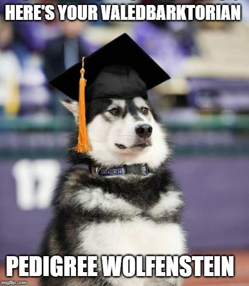 Graduate Dog | HERE'S YOUR VALEDBARKTORIAN; PEDIGREE WOLFENSTEIN | image tagged in graduate dog | made w/ Imgflip meme maker