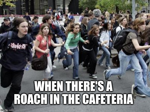We've all seen it and experienced it, you know, the girls start screaming and the boys don't do anything. | WHEN THERE'S A ROACH IN THE CAFETERIA | image tagged in crowd running | made w/ Imgflip meme maker