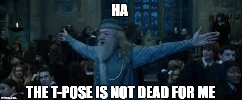 Harry Potter | HA; THE T-POSE IS NOT DEAD FOR ME | image tagged in harry potter | made w/ Imgflip meme maker
