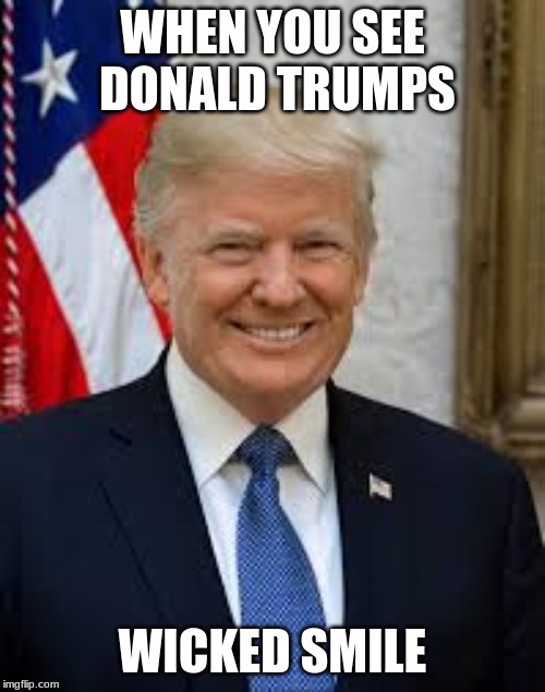 donald trumps smile | WHEN YOU SEE DONALD TRUMPS; WICKED SMILE | image tagged in politics | made w/ Imgflip meme maker