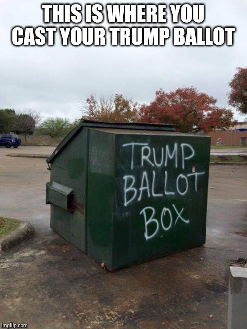 Memes | THIS IS WHERE YOU CAST YOUR TRUMP BALLOT | image tagged in creepy condescending wonka | made w/ Imgflip meme maker