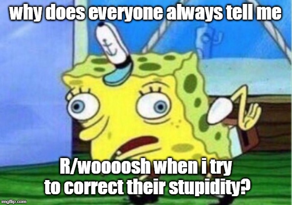 Mocking Spongebob Meme | why does everyone always tell me; R/woooosh when i try to correct their stupidity? | image tagged in memes,mocking spongebob | made w/ Imgflip meme maker