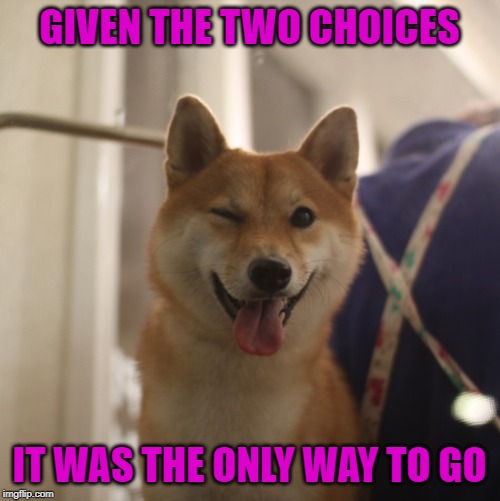 GIVEN THE TWO CHOICES IT WAS THE ONLY WAY TO GO | made w/ Imgflip meme maker