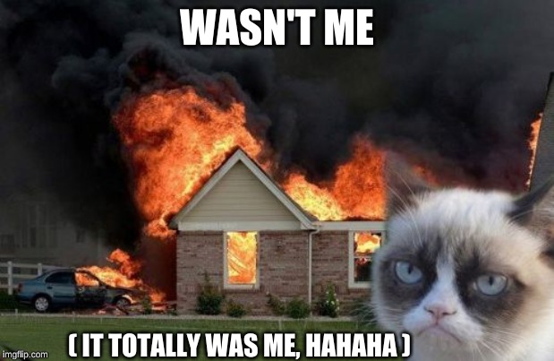 Burn Kitty | WASN'T ME; ( IT TOTALLY WAS ME, HAHAHA ) | image tagged in memes,burn kitty,grumpy cat | made w/ Imgflip meme maker