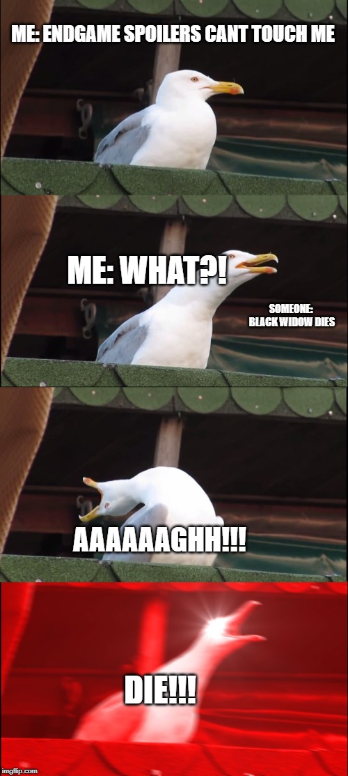 Inhaling Seagull Meme | ME: ENDGAME SPOILERS CANT TOUCH ME; ME: WHAT?! SOMEONE: BLACK WIDOW DIES; AAAAAAGHH!!! DIE!!! | image tagged in memes,inhaling seagull | made w/ Imgflip meme maker