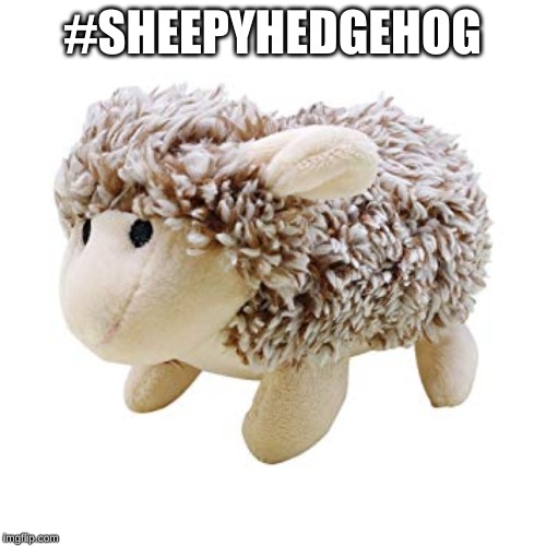 #SHEEPYHEDGEHOG | made w/ Imgflip meme maker
