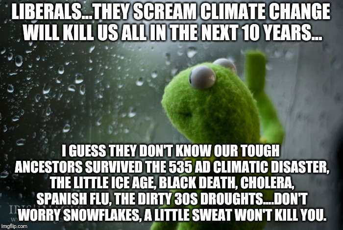 Climate and liberals | LIBERALS...THEY SCREAM CLIMATE CHANGE WILL KILL US ALL IN THE NEXT 10 YEARS... I GUESS THEY DON'T KNOW OUR TOUGH ANCESTORS SURVIVED THE 535 AD CLIMATIC DISASTER, THE LITTLE ICE AGE, BLACK DEATH, CHOLERA, SPANISH FLU, THE DIRTY 30S DROUGHTS....DON'T WORRY SNOWFLAKES, A LITTLE SWEAT WON'T KILL YOU. | image tagged in kermit the frog rainy day | made w/ Imgflip meme maker