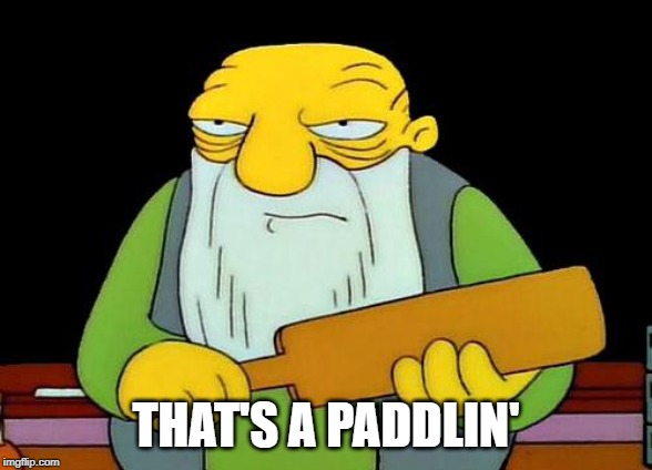 THAT'S A PADDLIN' | image tagged in memes,that's a paddlin' | made w/ Imgflip meme maker