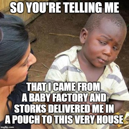 Third World Skeptical Kid Meme | SO YOU'RE TELLING ME; THAT I CAME FROM A BABY FACTORY AND STORKS DELIVERED ME IN A POUCH TO THIS VERY HOUSE | image tagged in memes,third world skeptical kid | made w/ Imgflip meme maker