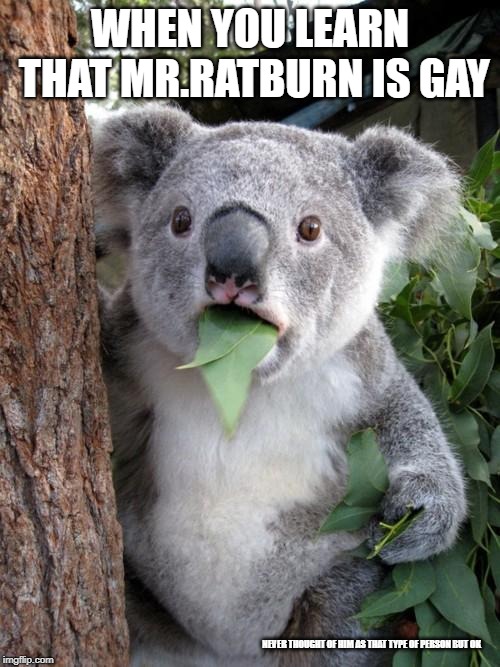 Surprised Koala Meme | WHEN YOU LEARN THAT MR.RATBURN IS GAY; NEVER THOUGHT OF HIM AS THAT TYPE OF PERSON BUT OK | image tagged in memes,surprised koala | made w/ Imgflip meme maker