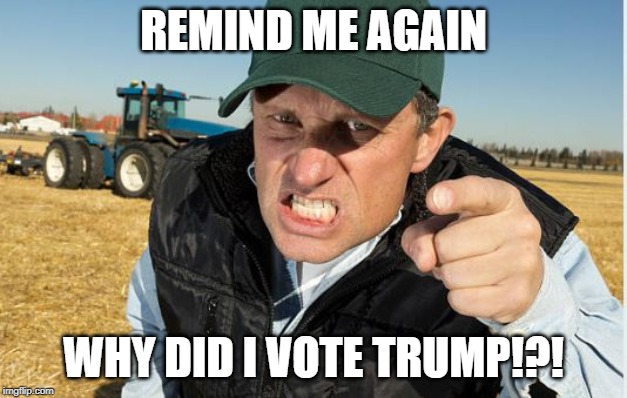 angry farmer | REMIND ME AGAIN; WHY DID I VOTE TRUMP!?! | image tagged in angry farmer | made w/ Imgflip meme maker