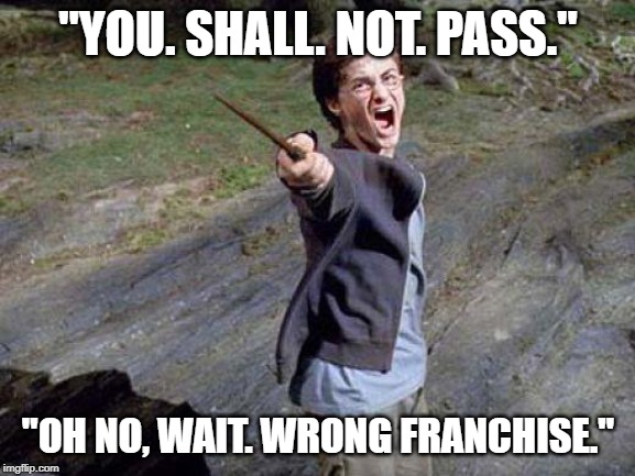 Lord of the Horcruxes | "YOU. SHALL. NOT. PASS."; "OH NO, WAIT. WRONG FRANCHISE." | image tagged in harry potter yelling,lord of the rings,gandalf,gandalf you shall not pass | made w/ Imgflip meme maker