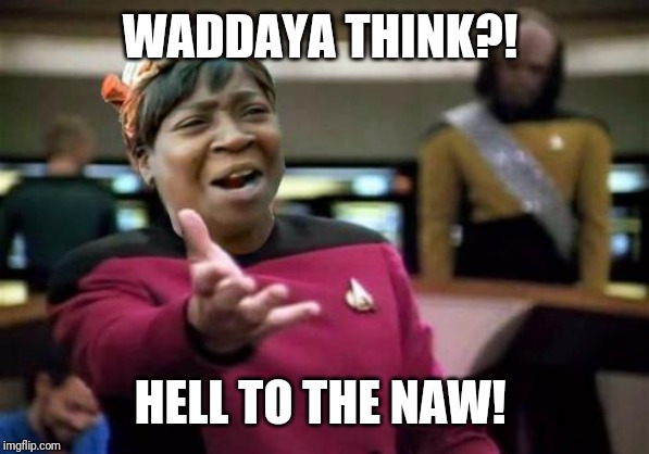 WTF ain't nobody got time | WADDAYA THINK?! HELL TO THE NAW! | image tagged in wtf ain't nobody got time | made w/ Imgflip meme maker