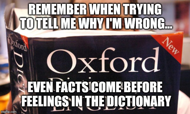 dictionary | REMEMBER WHEN TRYING TO TELL ME WHY I'M WRONG... EVEN FACTS COME BEFORE FEELINGS IN THE DICTIONARY | image tagged in dictionary | made w/ Imgflip meme maker