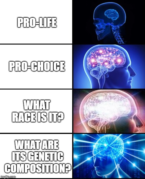 Expanding brain 4 panels | PRO-LIFE; PRO-CHOICE; WHAT RACE IS IT? WHAT ARE ITS GENETIC COMPOSITION? | image tagged in expanding brain 4 panels | made w/ Imgflip meme maker