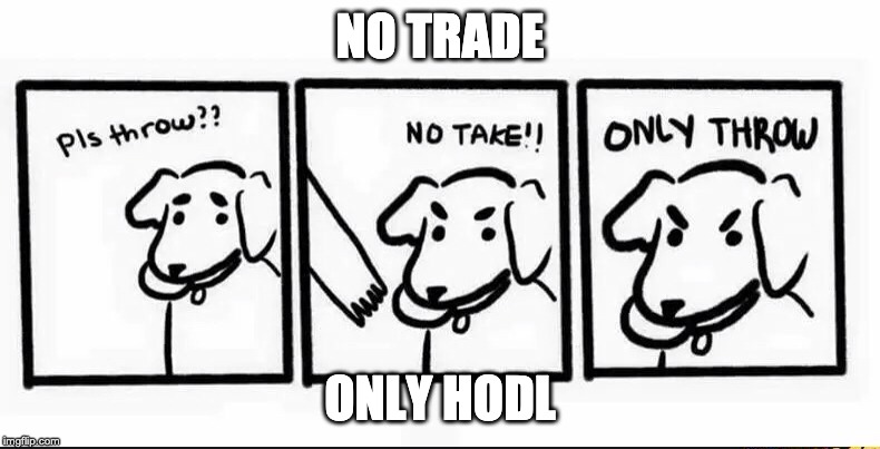 dog logic only throw | NO TRADE; ONLY HODL | image tagged in dog logic only throw | made w/ Imgflip meme maker