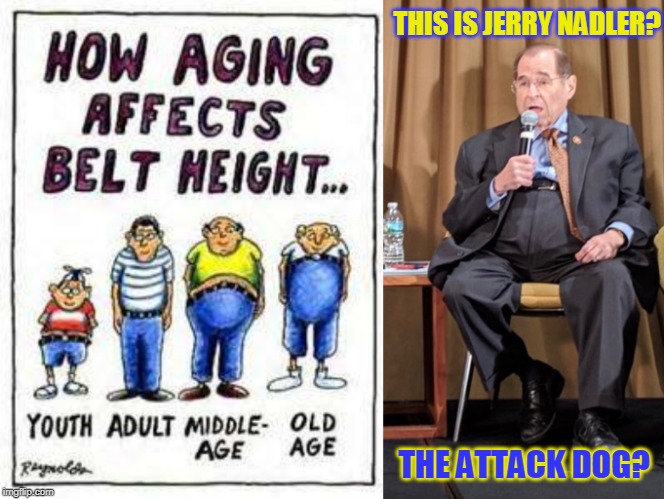 THIS IS JERRY NADLER? THE ATTACK DOG? | made w/ Imgflip meme maker