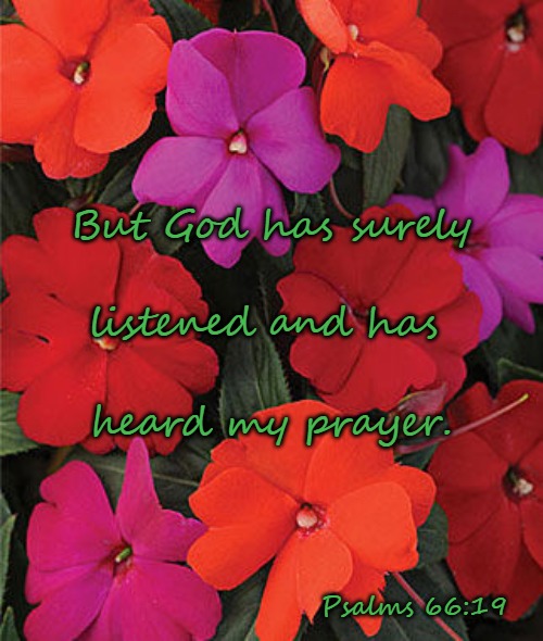 Psalms 66:19 But God Has Surely Listened And Has Heard My Prayer | But God has surely; listened and has; heard my prayer. Psalms 66:19 | image tagged in bible,bible verse,verse,holy bible,holy spirit,god | made w/ Imgflip meme maker