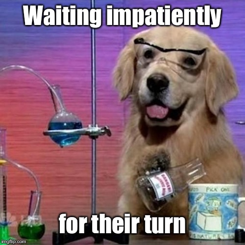 I Have No Idea What I Am Doing Dog Meme | Waiting impatiently for their turn | image tagged in memes,i have no idea what i am doing dog | made w/ Imgflip meme maker