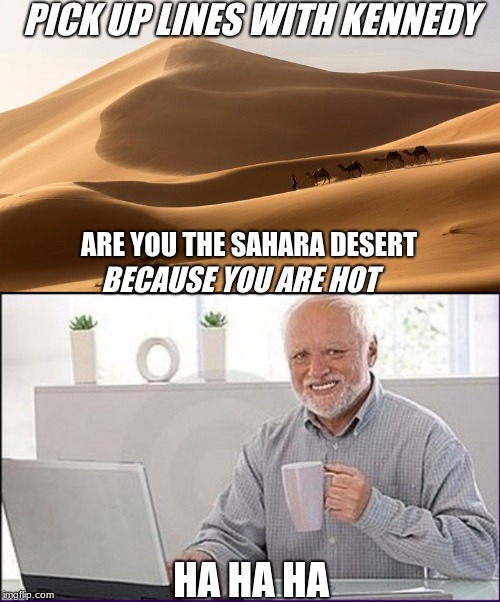 PICK UP LINES WITH KENNEDY; ARE YOU THE SAHARA DESERT; BECAUSE YOU ARE HOT; HA HA HA | image tagged in old guy computer | made w/ Imgflip meme maker
