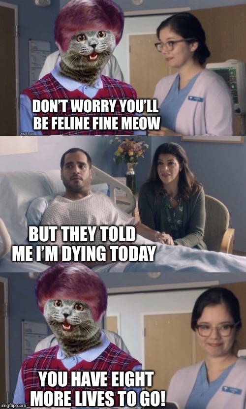 Just OK Doctor Morris | DON’T WORRY YOU’LL BE FELINE FINE MEOW; BUT THEY TOLD ME I’M DYING TODAY; YOU HAVE EIGHT MORE LIVES TO GO! | image tagged in just ok doctor morris,memes | made w/ Imgflip meme maker