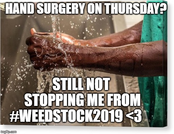 HAND SURGERY, STILL NOT STOPPING THIS BUDDY FROM WEEDSTOCK2019 | HAND SURGERY ON THURSDAY? STILL NOT STOPPING ME FROM #WEEDSTOCK2019 <3 | image tagged in hand surgery still not stopping this buddy from weedstock2019 | made w/ Imgflip meme maker
