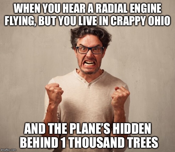 Ugh! | WHEN YOU HEAR A RADIAL ENGINE FLYING, BUT YOU LIVE IN CRAPPY OHIO; AND THE PLANE’S HIDDEN BEHIND 1 THOUSAND TREES | image tagged in obnoxious,aviation,airplanes,flying,ohio state,ohio | made w/ Imgflip meme maker