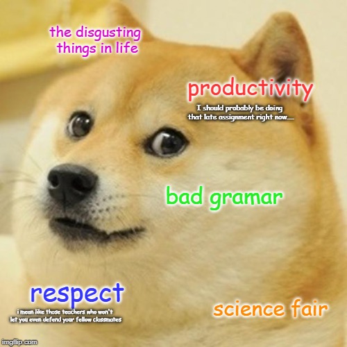 the discusting things in life - school version | the disgusting things in life; productivity; I should probably be doing that late assignment right now.... bad gramar; respect; science fair; i mean like those teachers who won't let you even defend your fellow classmates | image tagged in memes,doge,school,disgusting | made w/ Imgflip meme maker
