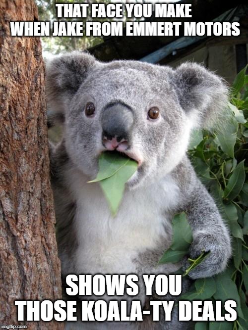 Surprised Koala | THAT FACE YOU MAKE WHEN JAKE FROM EMMERT MOTORS; SHOWS YOU THOSE KOALA-TY DEALS | image tagged in memes,surprised koala | made w/ Imgflip meme maker