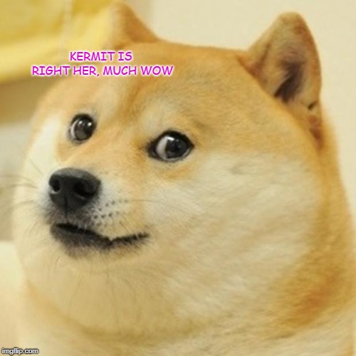 Doge Meme | KERMIT IS RIGHT HER, MUCH WOW | image tagged in memes,doge | made w/ Imgflip meme maker
