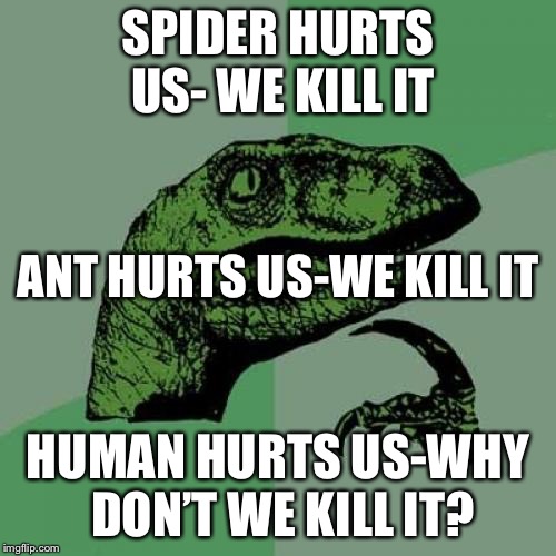 Unfair life | SPIDER HURTS US- WE KILL IT; ANT HURTS US-WE KILL IT; HUMAN HURTS US-WHY DON’T WE KILL IT? | image tagged in memes,philosoraptor,unfair | made w/ Imgflip meme maker